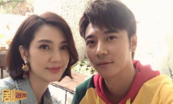 洪欣为什么不离婚