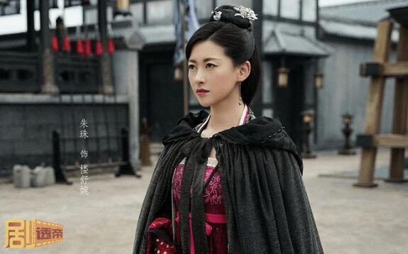 朱珠赘婿演的是什么角色