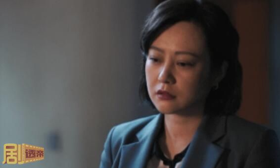 电视剧熟年一共多少集