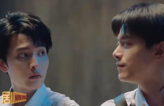 网剧抉择一共有多少集