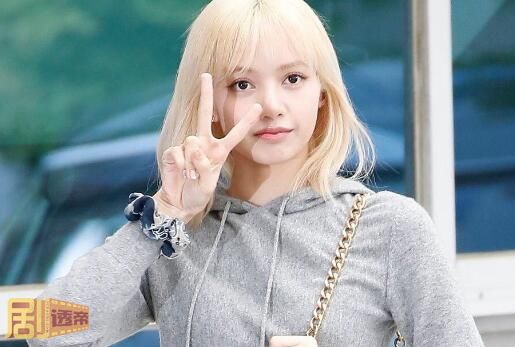 Lisa是混血吗