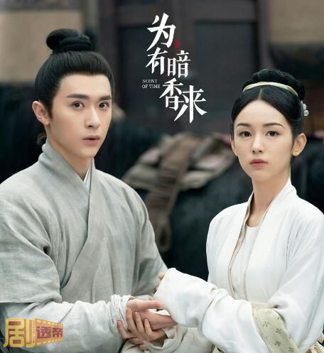 为有暗香来为什么华戎舟也能闻到香味