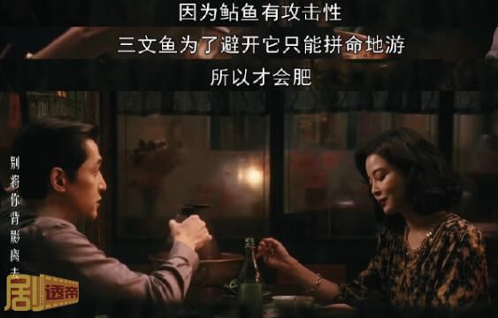 繁花李李为什么送阿宝鲶鱼