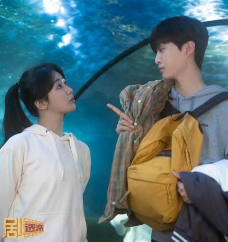 蒋翼什么时候喜欢黄瀛子的