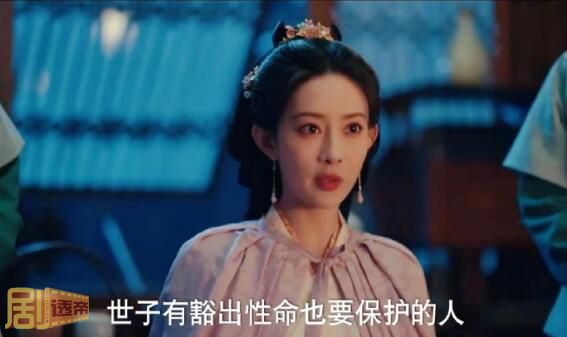 九重紫窦昭人物关系